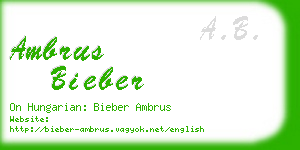 ambrus bieber business card